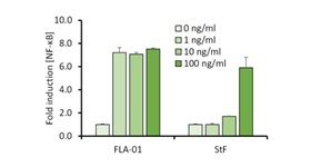 FLA01 Fig2