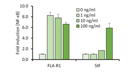 FLA-R1 Fig2