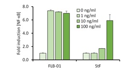 FLB01 Fig2