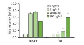 FLB-R1 Fig2