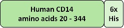CD14 graphic