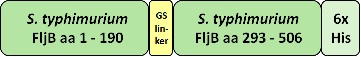 Graphic FLA01