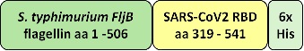 FLB-R1 graphic