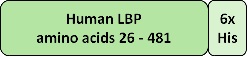 LBP graphic