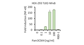 RBD Fig 3