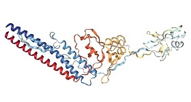 Recombinant flagellin