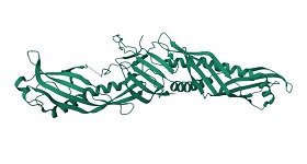 Recombinant LPS binding protei